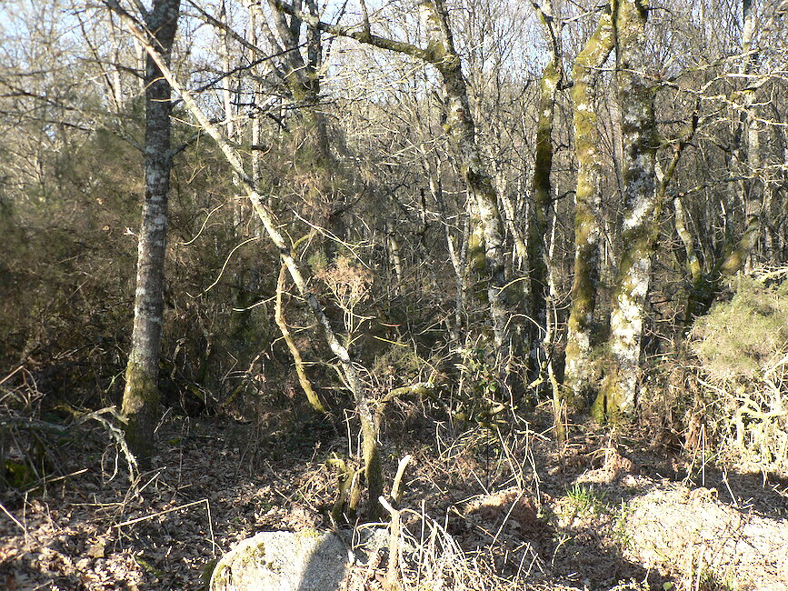 Casas rurales en Gomeán, Lugo
