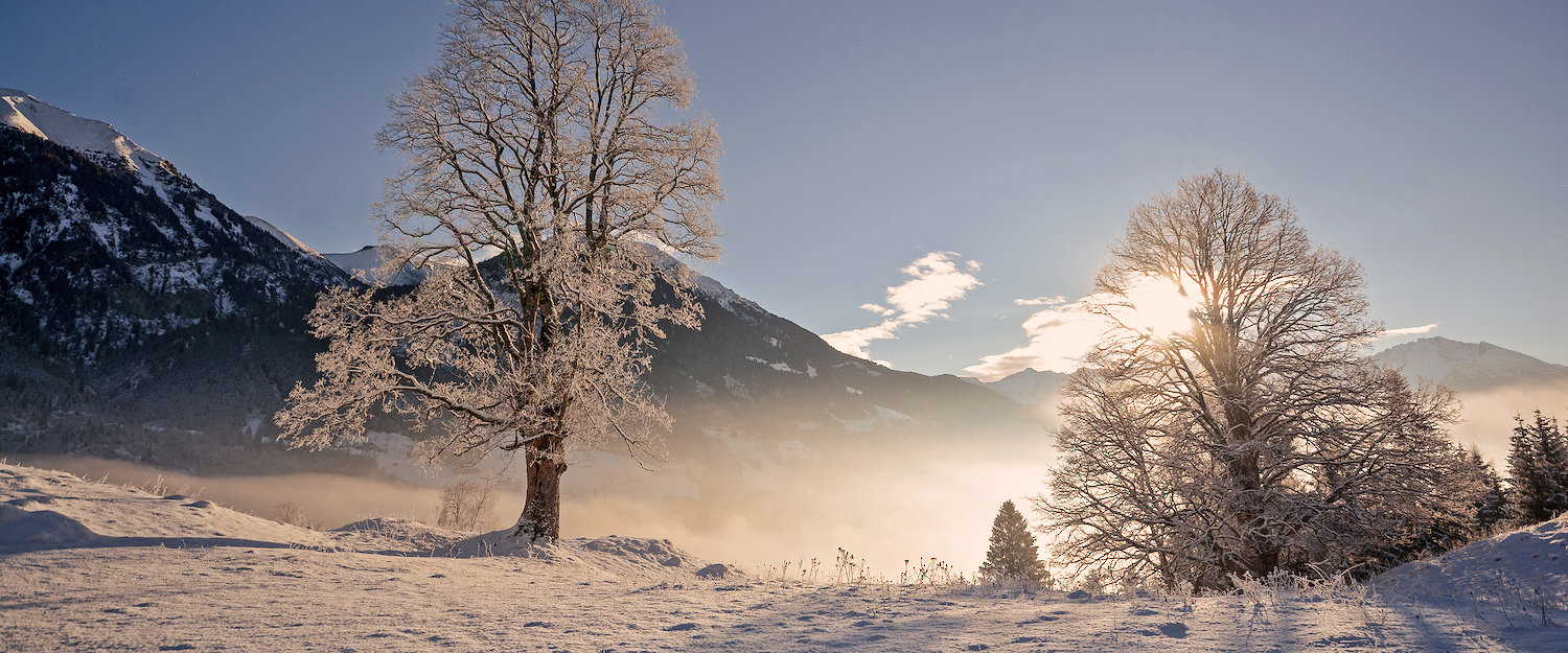 Vakantiehuizen in Bad Hofgastein