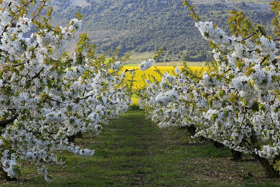 Casas rurales en Ciriza, Navarra