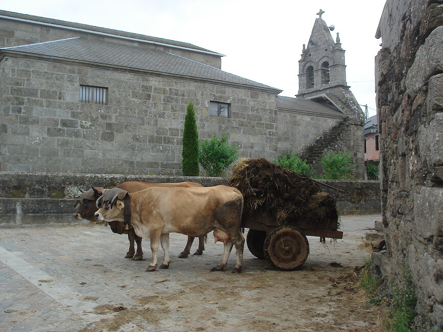 Casas rurales en La Gudiña, Ourense