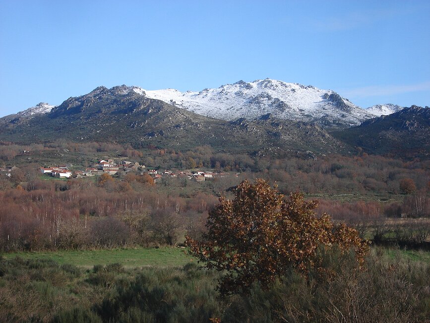 Casas rurales en Calvos de Randín, Ourense