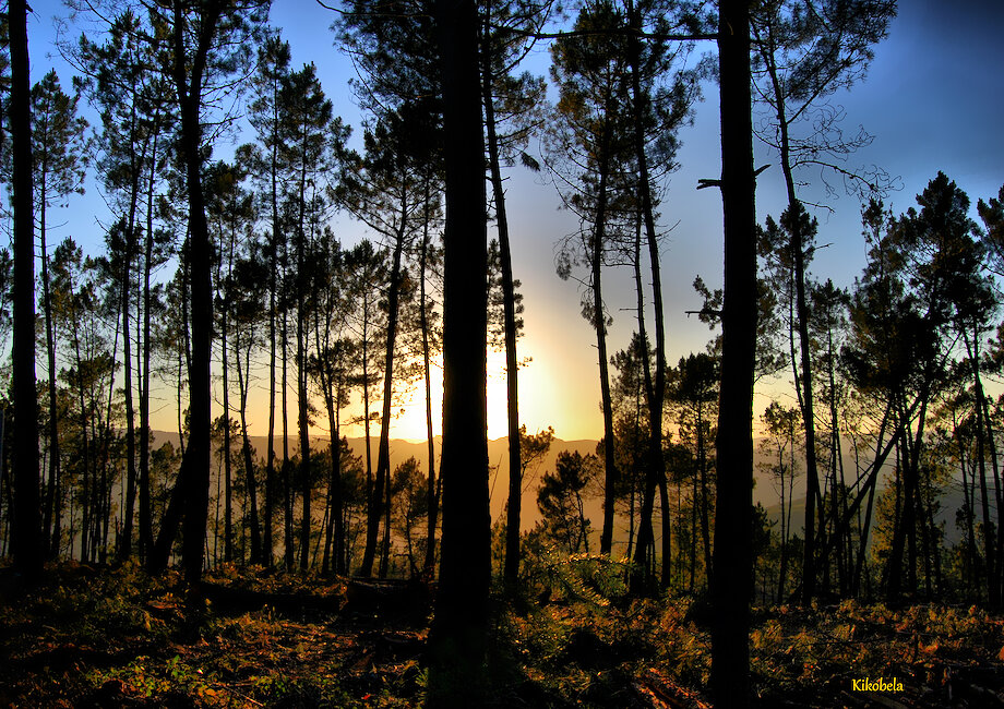 Casas rurales en Cenlle, Ourense