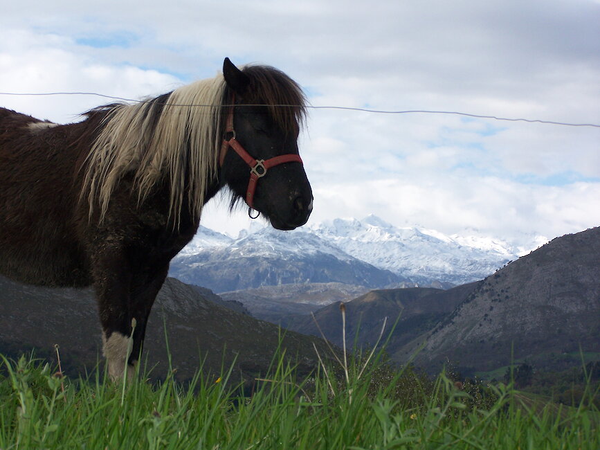 Casas rurales en El Allende de Vibaño, Asturias