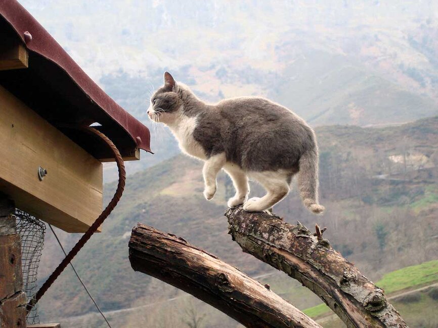 Casas rurales en Ruenes, Asturias