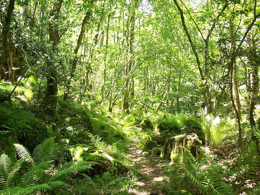 Casas rurales en Piloñeta, Asturias