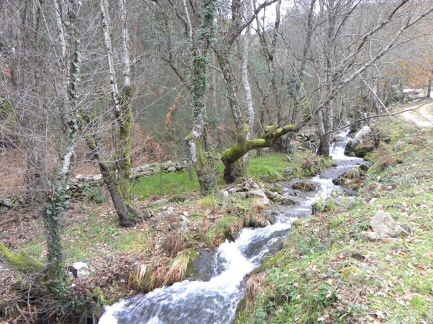 Casas rurales en Cabeiras, Pontevedra