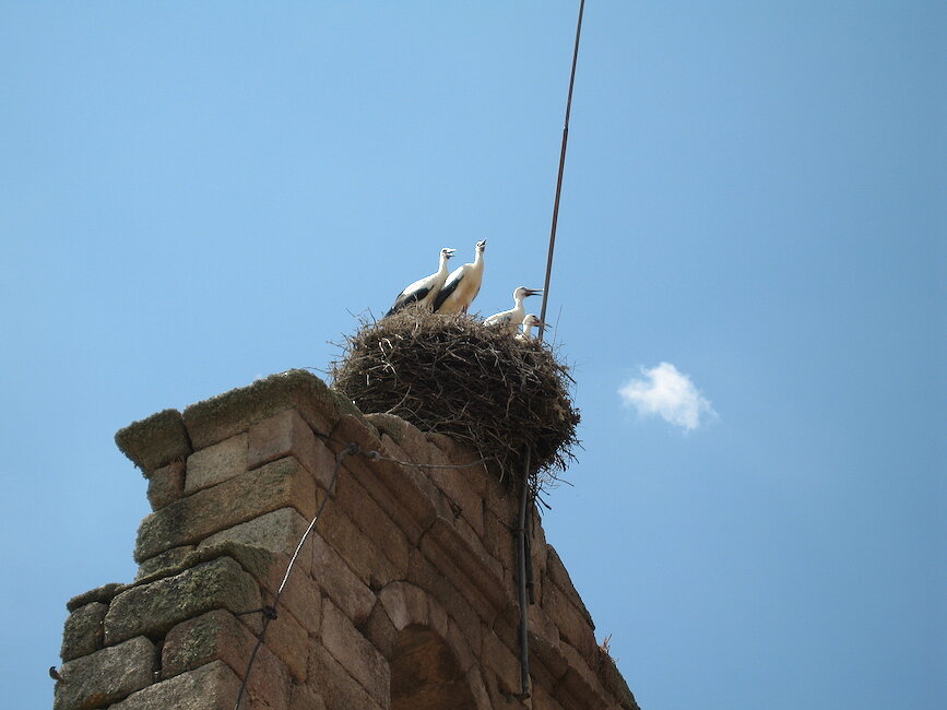 Casas rurales en Buenamadre, Salamanca