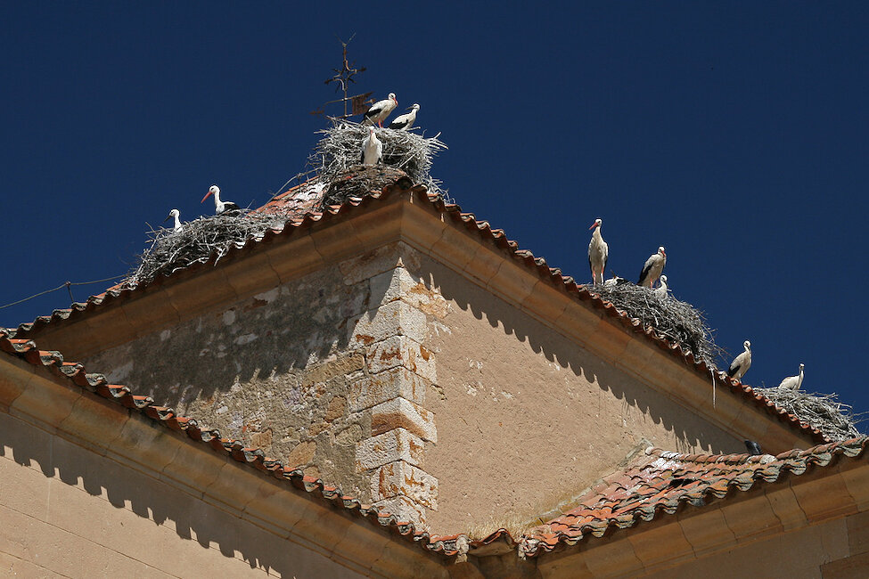 Casas rurales en Encinas de Abajo, Salamanca