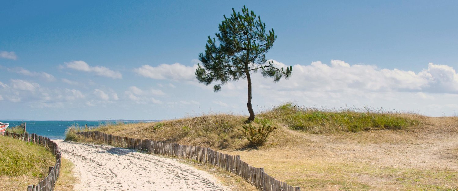 Chemin menant à la plage, Carnac