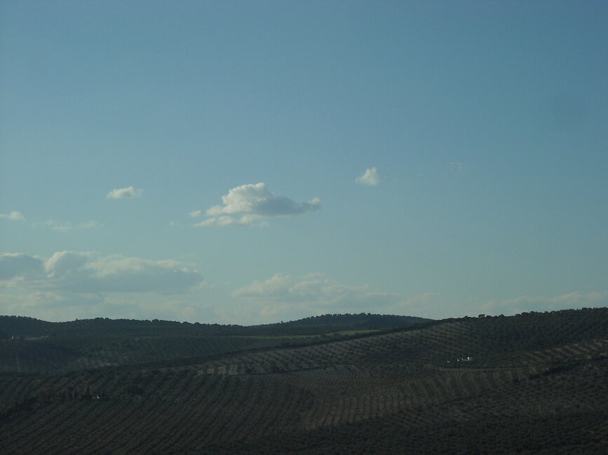 Casas rurales en Lora de Estepa, Sevilla