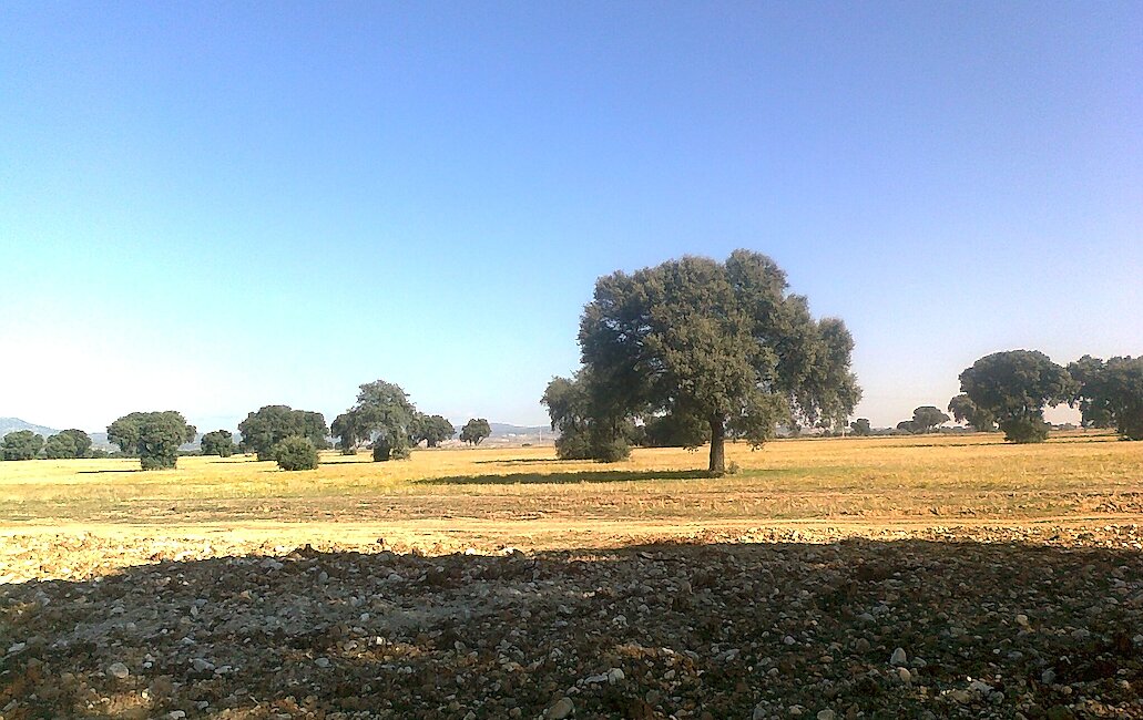 Casas rurales en Paredes de Escalona, Toledo