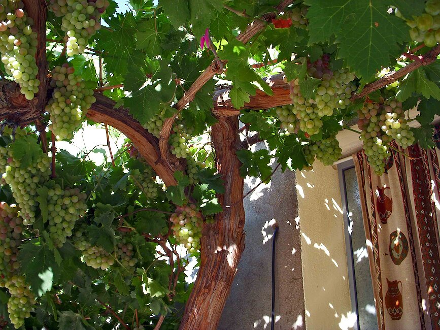 Casas rurales en Turleque, Toledo