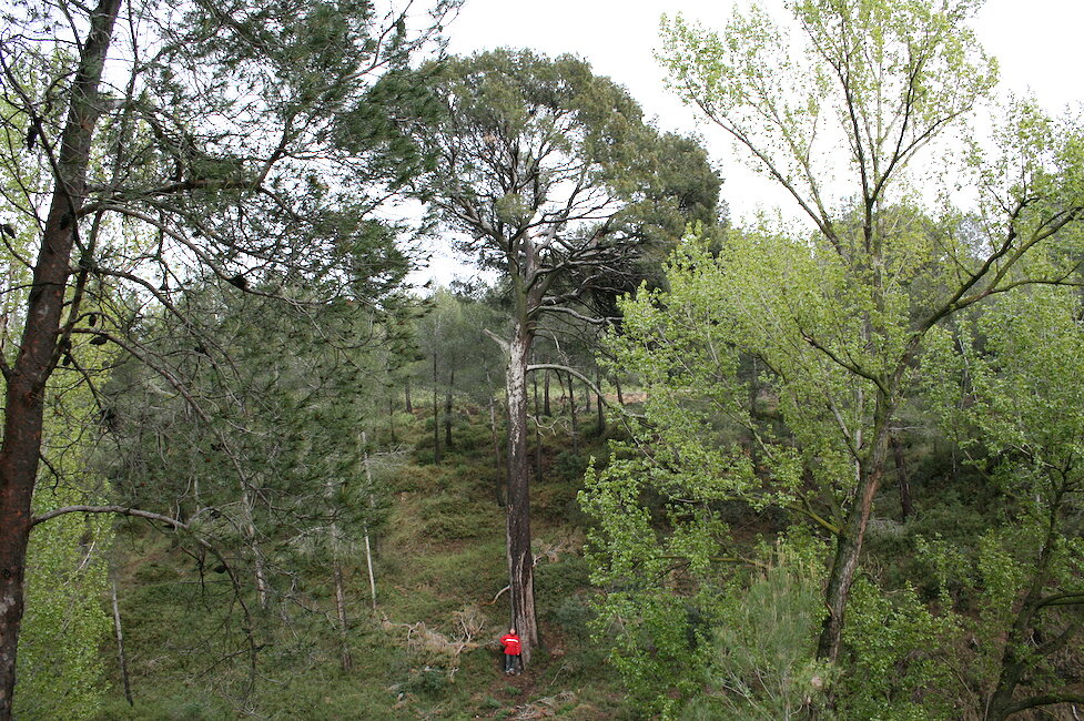 Casas rurales en Higueruelas, Valencia