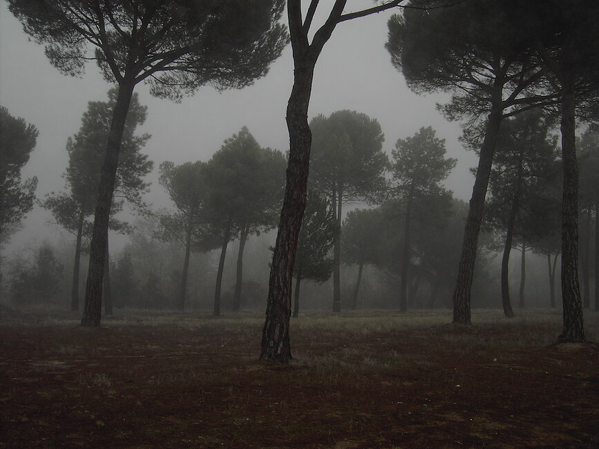 Casas rurales en Corcos, Valladolid