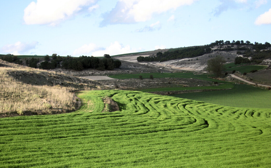Casas rurales en Fombellida, Valladolid