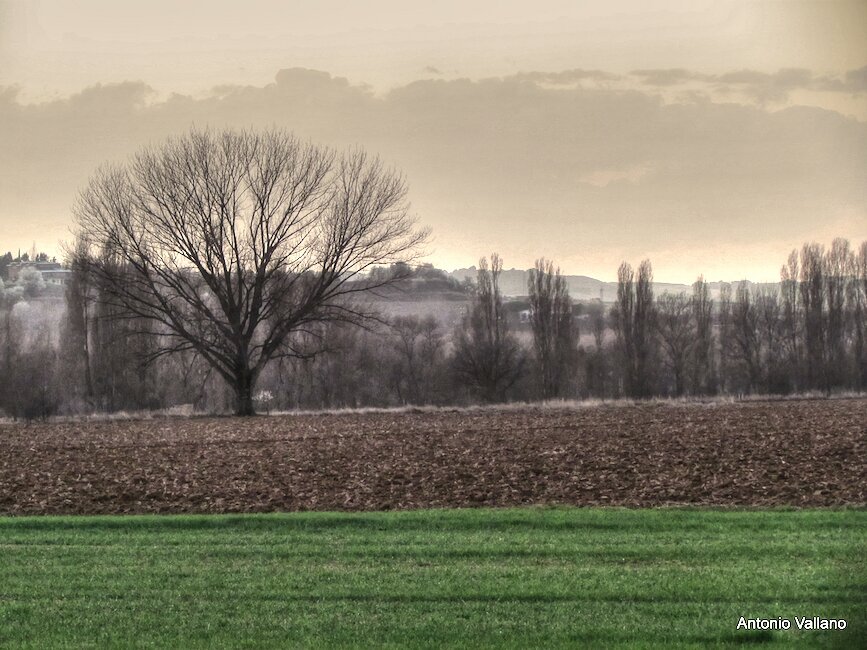 Casas rurales en Santovenia de Pisuerga, Valladolid