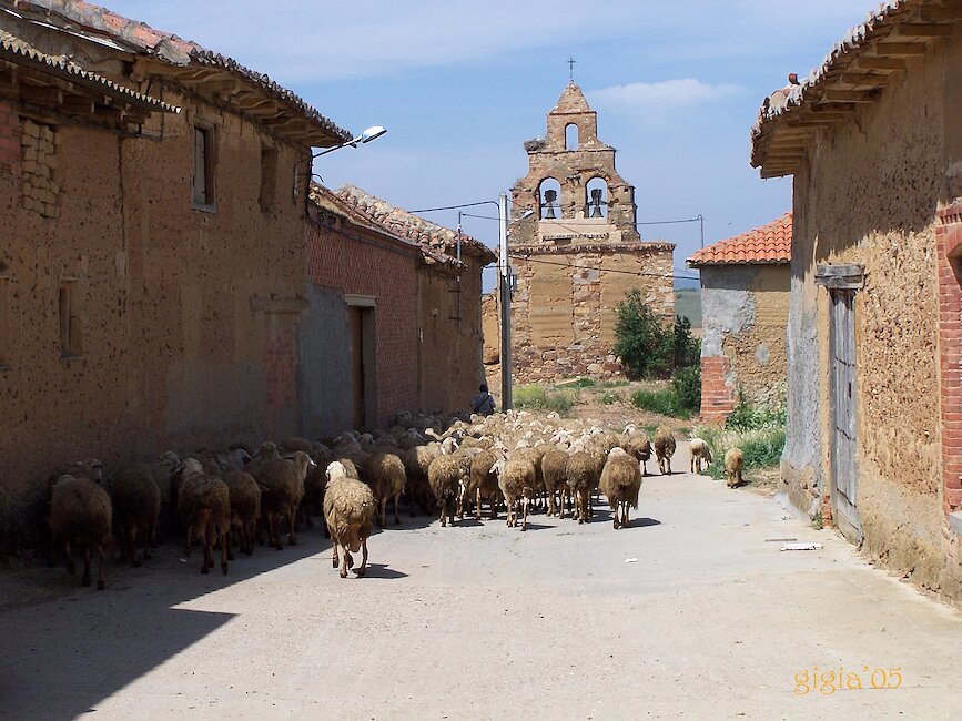 Casas rurales en San Román del Valle, Zamora