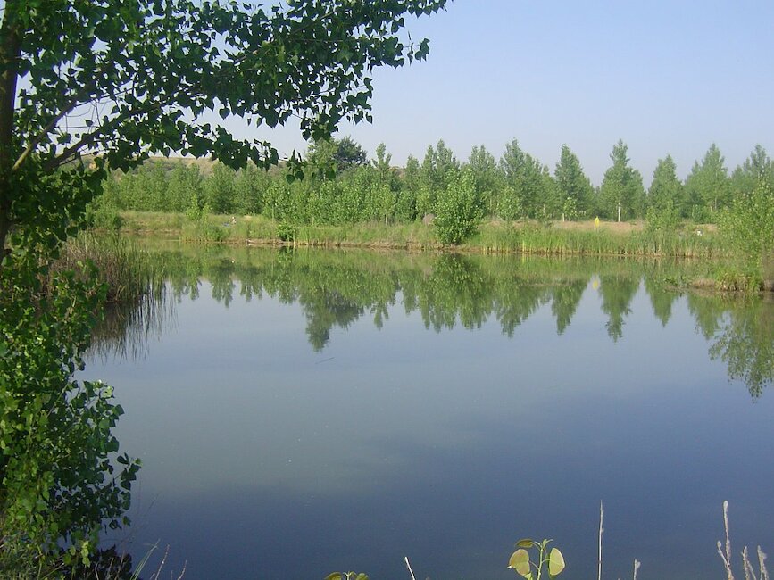 Casas rurales en Castrogonzalo, Zamora