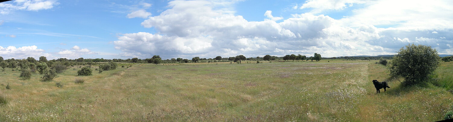 Casas rurales en Santa María de Valverde, Zamora
