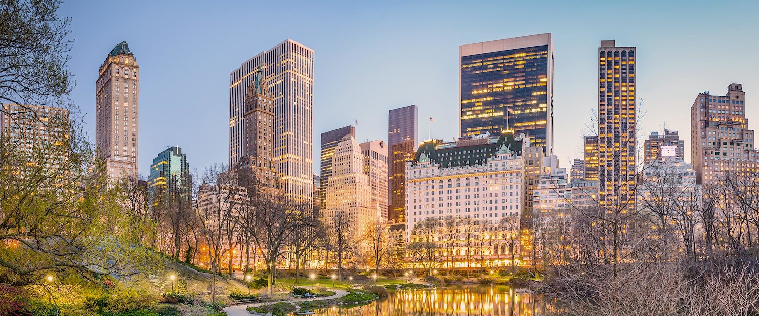 Central Park and the Skyline of New York