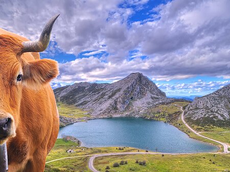 Casas rurales para Vacaciones Agosto en Asturias