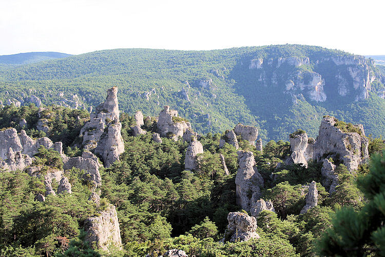 Chaos de Montpellier le Vieux