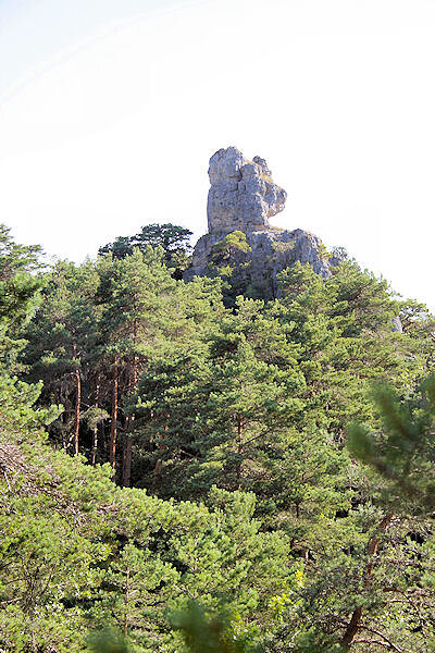 Chaos de Montpellier-le-Vieux Chaos de Montpellier-le-Vieux