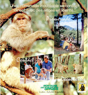 La Montagne des Singes