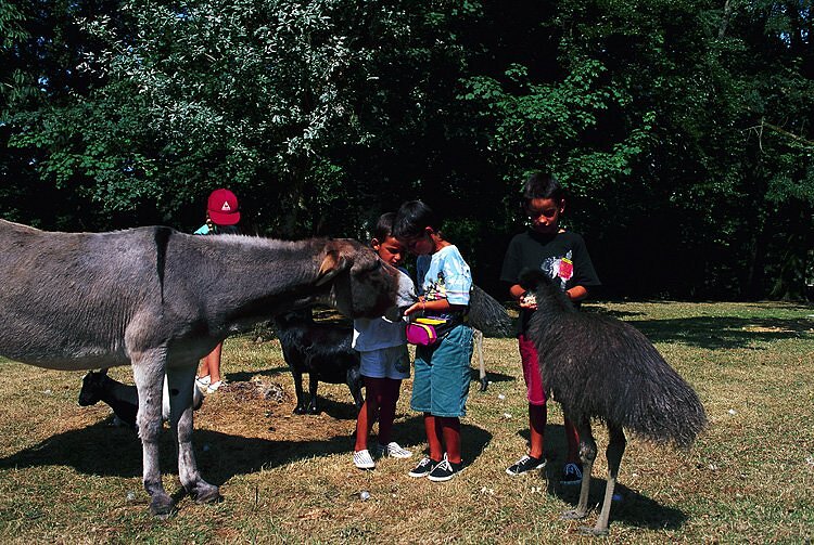 Parc animalier et botanique de Branféré