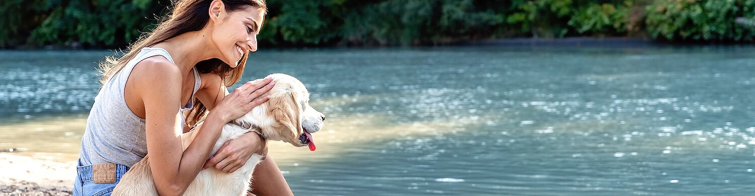 Locations de vacances accueillant les animaux dans l'Eure et Loir