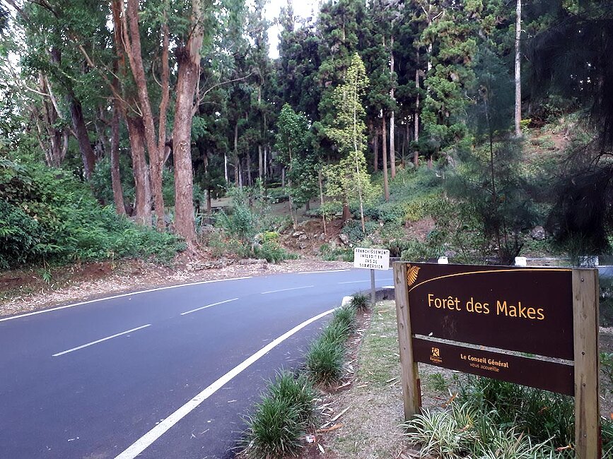 Forêt des Makes