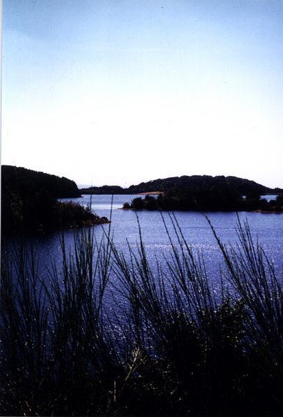 Lac de Lastioulles - Trémouille Lac de Lastioulles - Trémouille