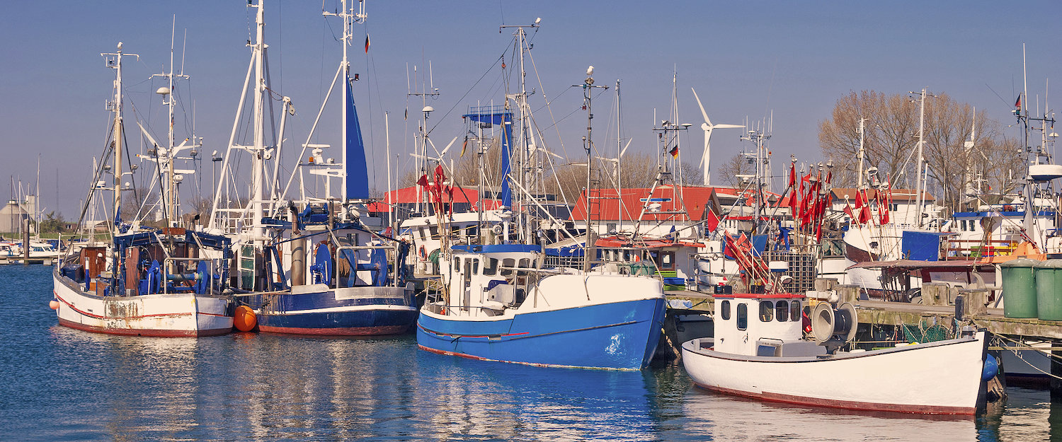 Hafen von Burg auf Fehmarn Hafen von Burg auf Fehmarn