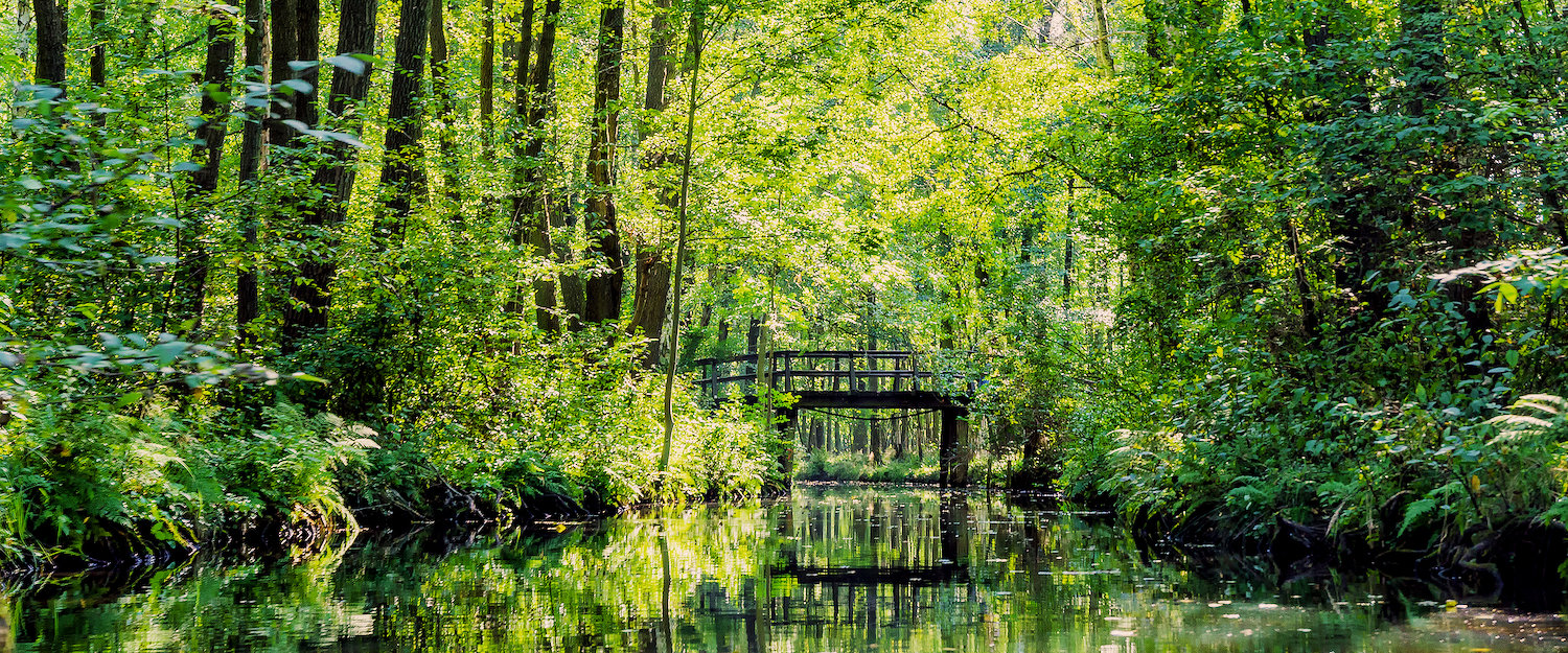 Ferienwohnungen und Ferienhäuser in Burg im Spreewald