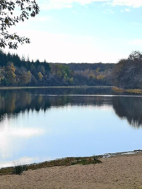 Etang du Merle