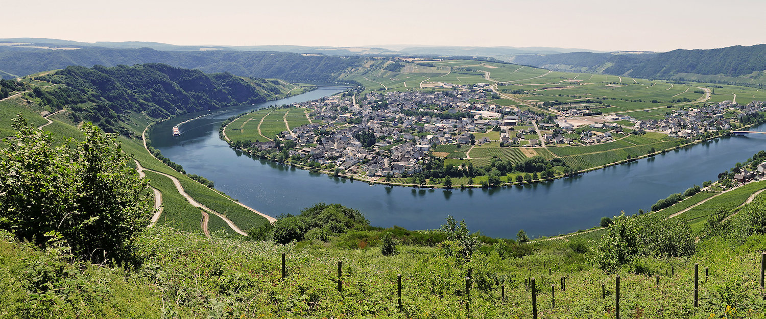 Ferienwohnungen und Ferienhäuser in Piesport