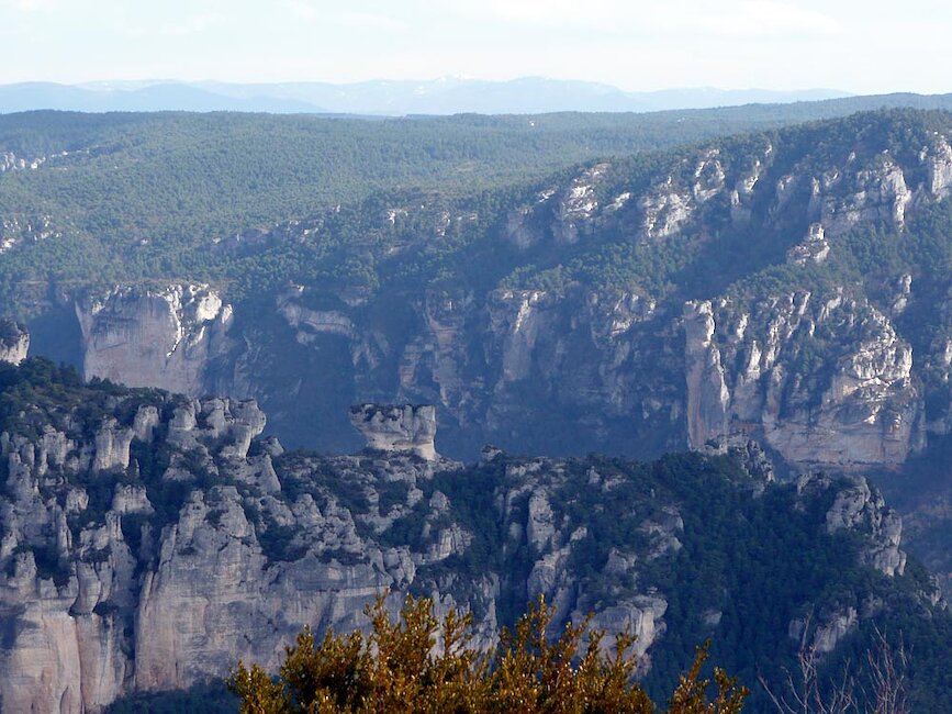 Causse de Sauveterre