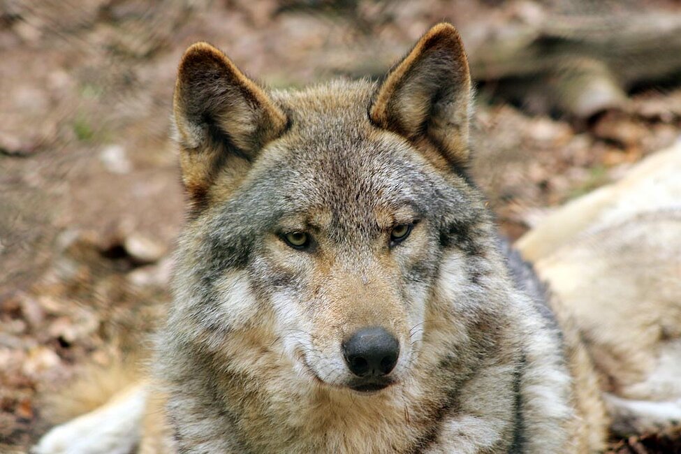 Parc Argonne Découverte