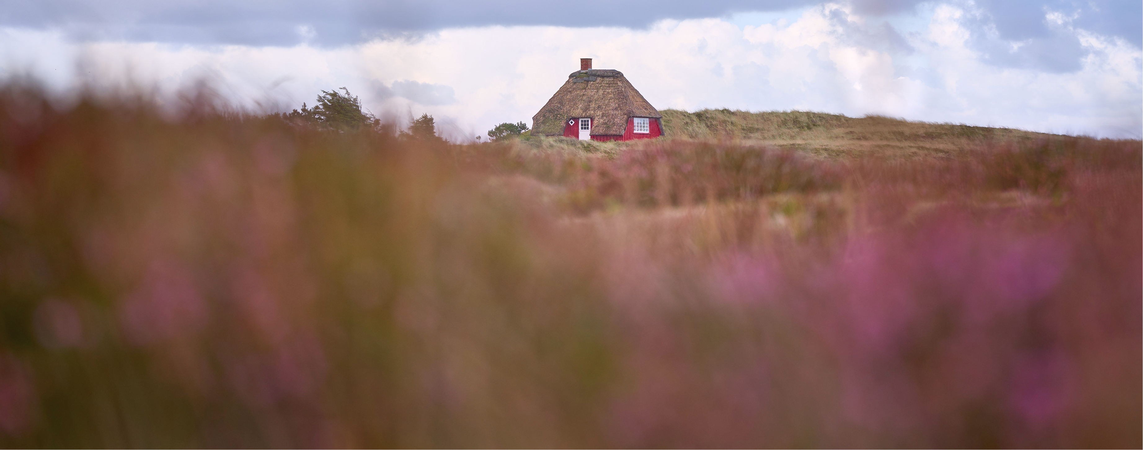 A cozy looking small cottage in a rural setting