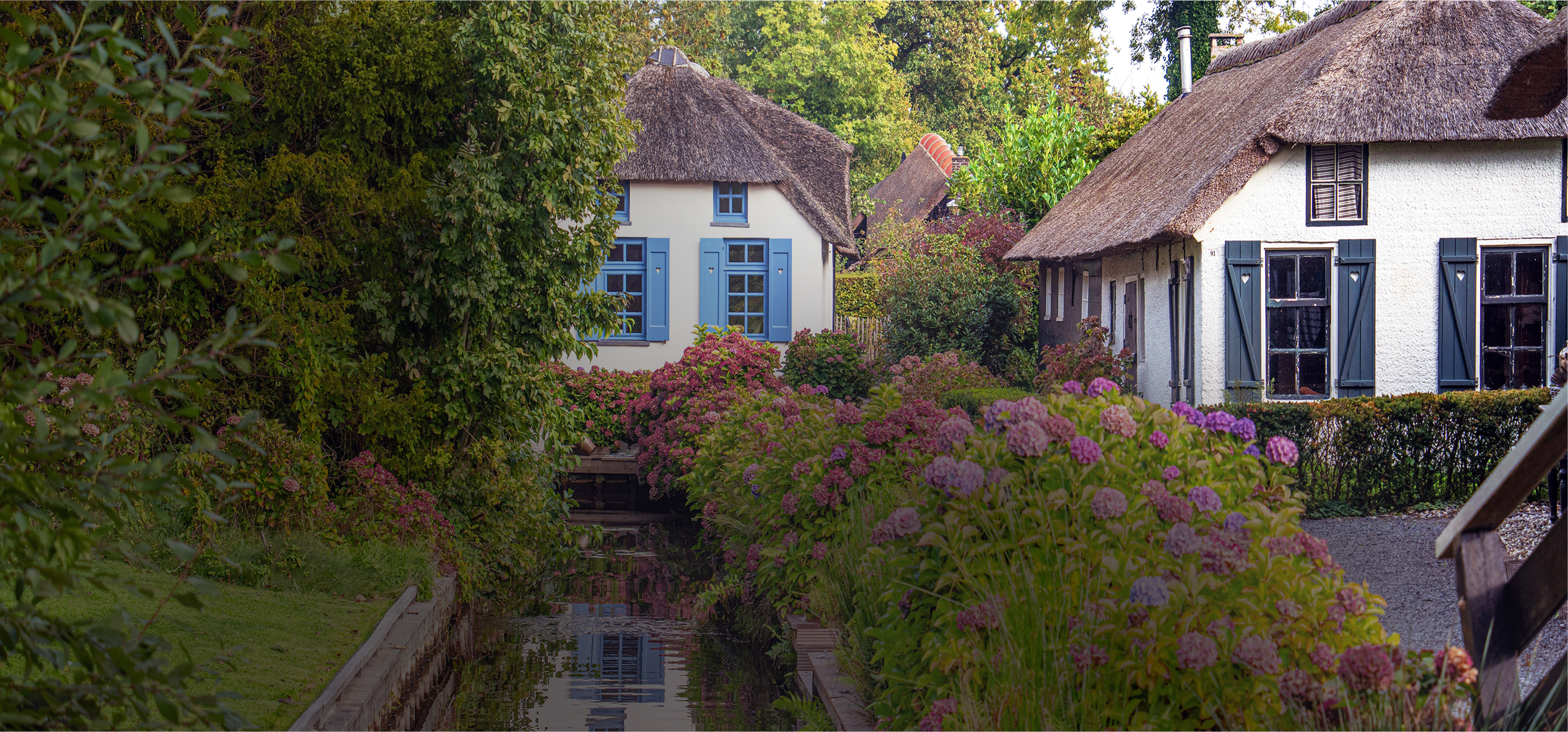 Traditional rural houses in the Netherlands in lush greenery