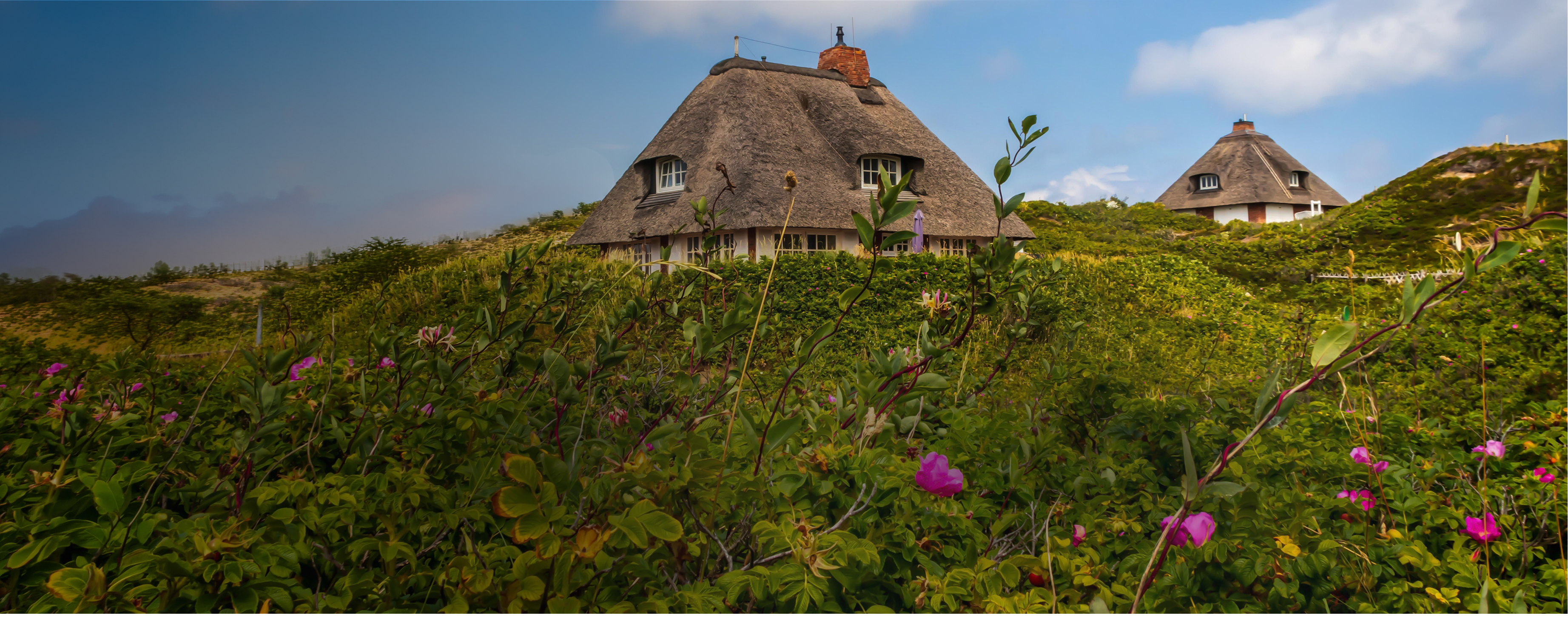 Two typical german houses in a green, hilly landscape on Sylt on a sunny day