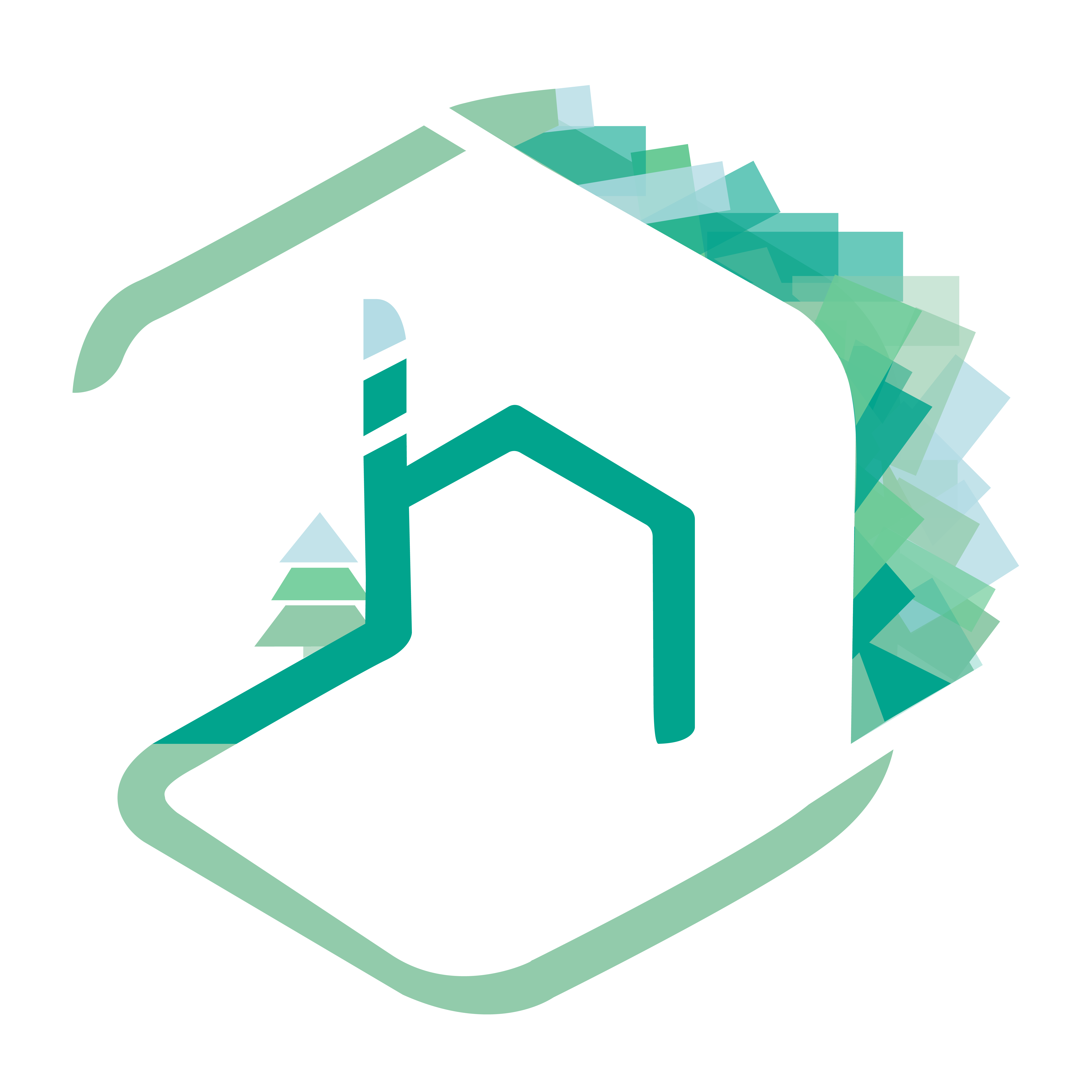 Homnest
