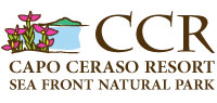 Capo Ceraso Servizi Turistici