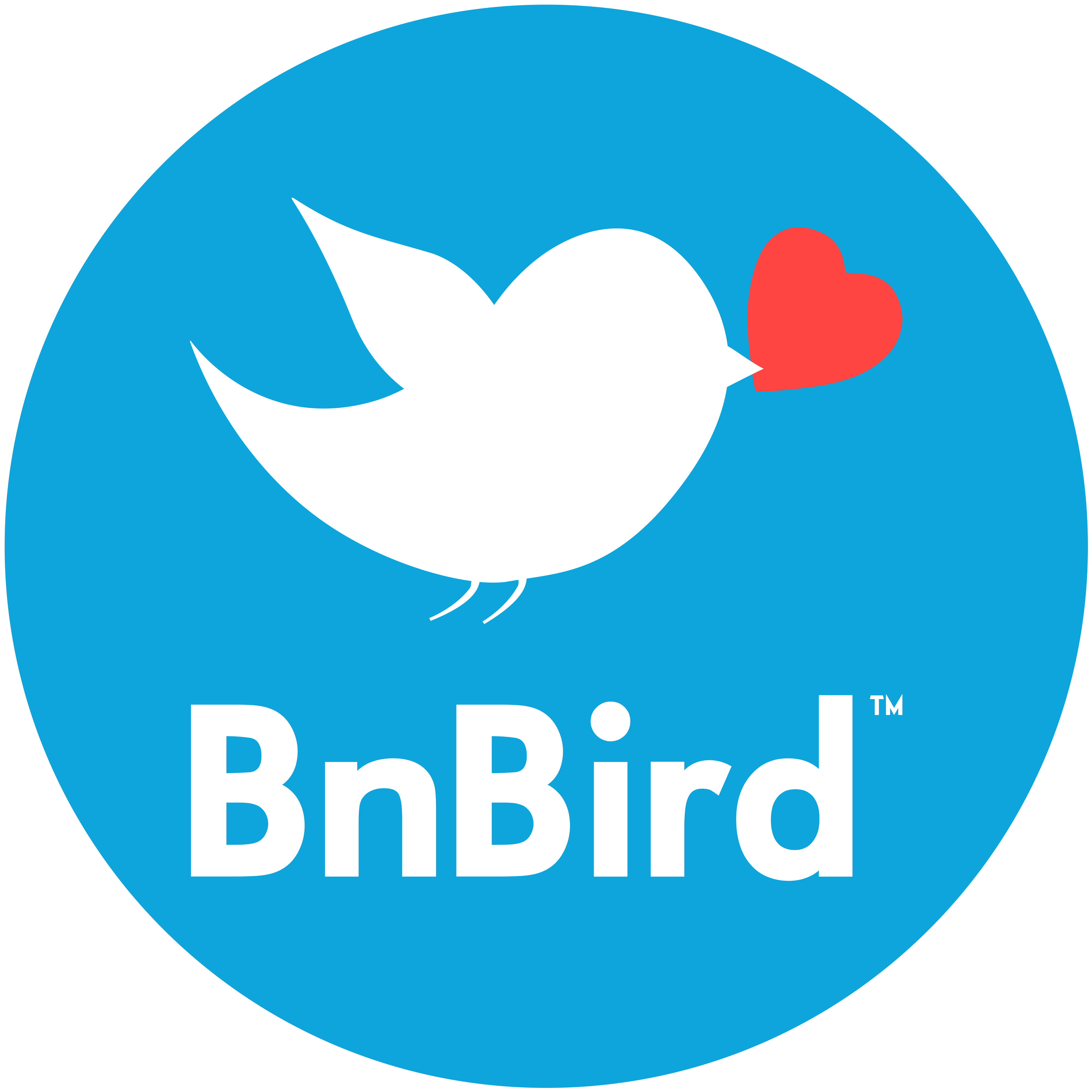 BnBird