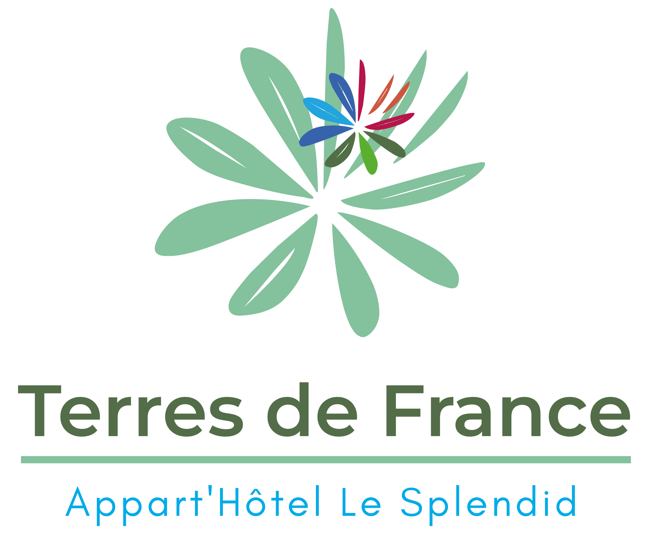 TDF Splendid