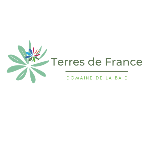 TDF BAIE