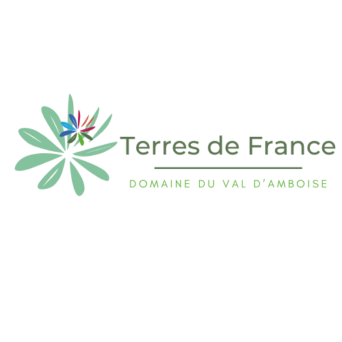 TDF AMBOISE