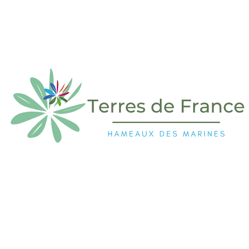 TDF MARINES