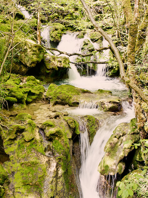 Cascada en el bosque