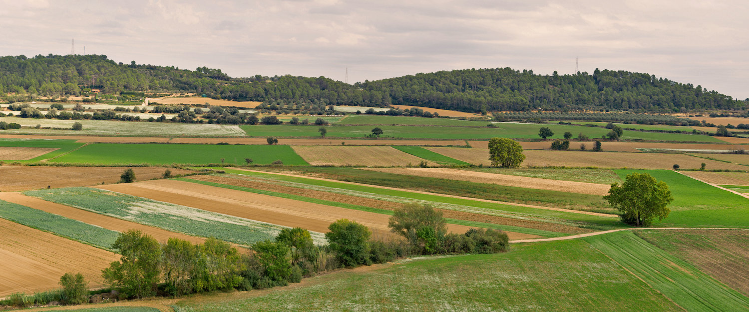 EL paisaje de los alrededores de Torroella de Montgrí